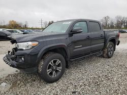 Toyota Tacoma salvage cars for sale: 2019 Toyota Tacoma Double Cab