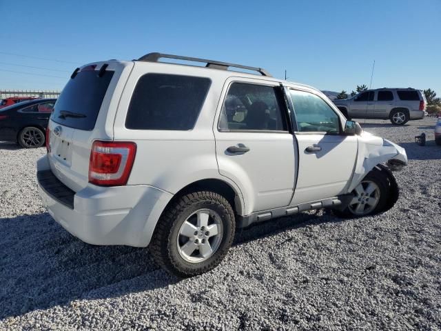 2011 Ford Escape XLT