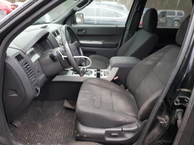 2010 Ford Escape XLT