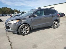 Ford Escape sel Vehiculos salvage en venta: 2013 Ford Escape SEL