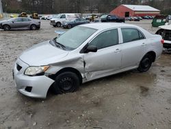 Toyota Corolla salvage cars for sale: 2010 Toyota Corolla Base