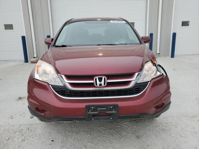 2010 Honda CR-V EXL