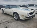 1974 Pontiac Firebird E