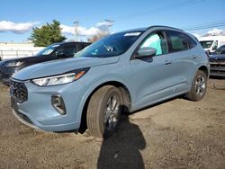 Ford Escape st salvage cars for sale: 2024 Ford Escape ST Line Select