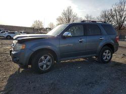 Ford salvage cars for sale: 2011 Ford Escape XLT