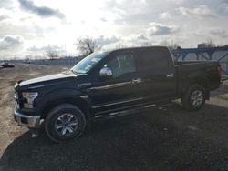 Ford salvage cars for sale: 2017 Ford F150 Supercrew