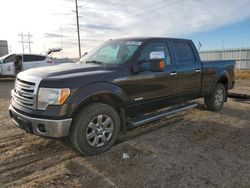 Ford f-150 salvage cars for sale: 2013 Ford F150 Supercrew