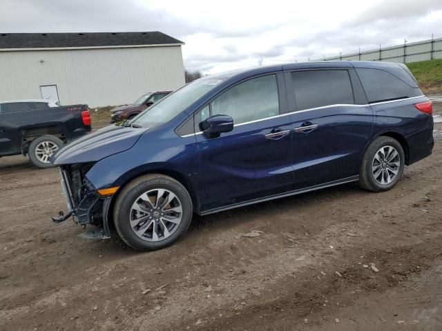 2023 Honda Odyssey EXL