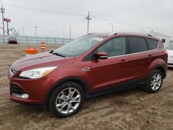 Ford Escape salvage cars for sale: 2014 Ford Escape Titanium