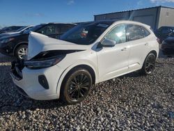 Ford Escape st salvage cars for sale: 2024 Ford Escape ST Line Elite