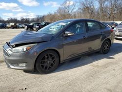 Ford Focus salvage cars for sale: 2015 Ford Focus SE