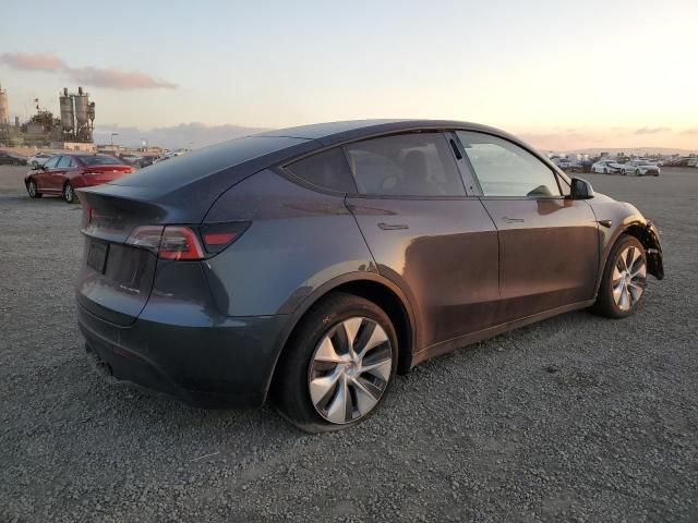 2020 Tesla Model Y