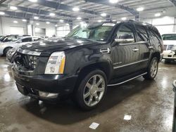 Cadillac Escalade salvage cars for sale: 2010 Cadillac Escalade Luxury