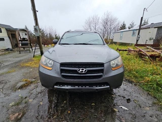 2009 Hyundai Santa FE GLS