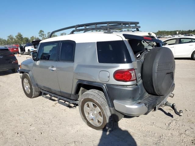 2010 Toyota FJ Cruiser