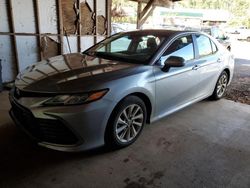 Toyota Camry salvage cars for sale: 2024 Toyota Camry LE