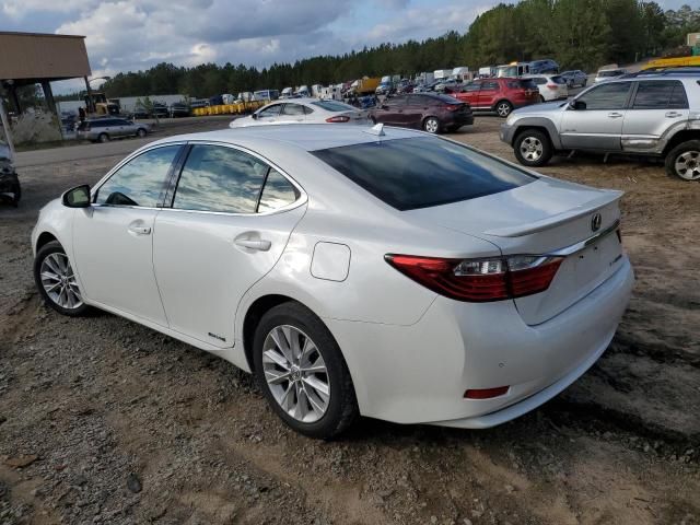 2013 Lexus ES 300H