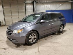 Honda Odyssey exl salvage cars for sale: 2016 Honda Odyssey EXL