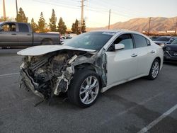 Nissan Maxima salvage cars for sale: 2013 Nissan Maxima S