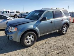 Ford Escape salvage cars for sale: 2012 Ford Escape XLT