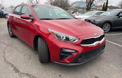 KIA Forte salvage cars for sale: 2021 KIA Forte EX