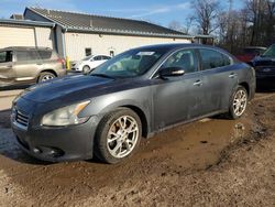 Nissan Maxima salvage cars for sale: 2013 Nissan Maxima S