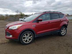 Ford Vehiculos salvage en venta: 2013 Ford Escape SE