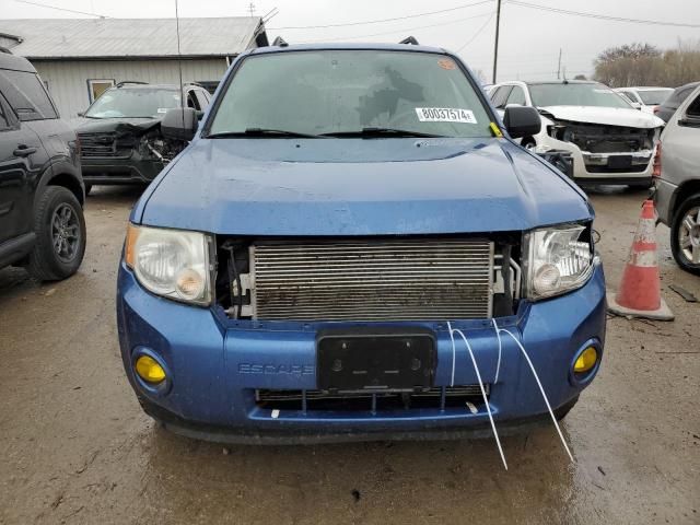 2010 Ford Escape XLT