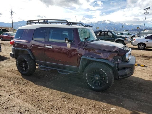 2007 Toyota FJ Cruiser