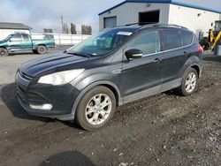 Ford salvage cars for sale: 2013 Ford Escape SEL