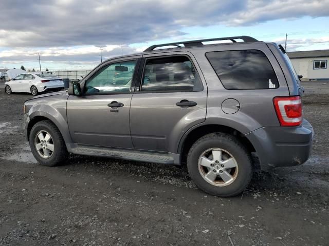 2010 Ford Escape XLT