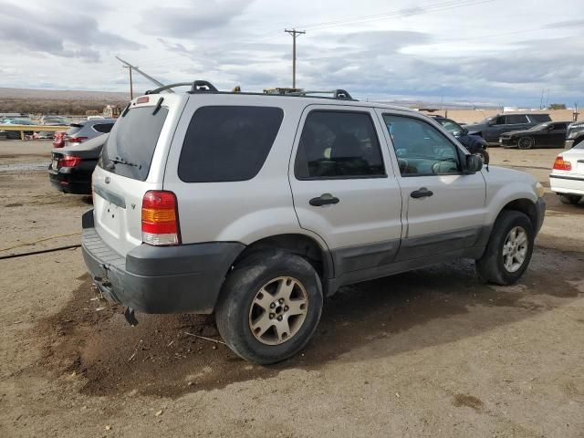 2005 Ford Escape XLT