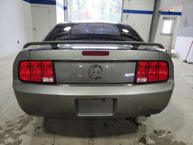 2005 Ford Mustang