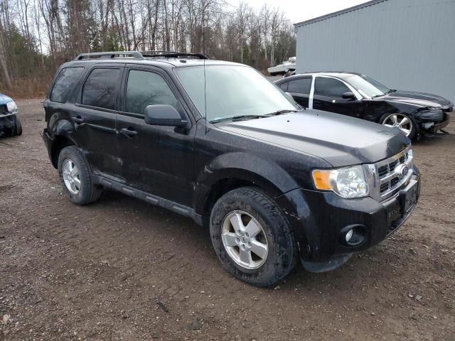 2010 Ford Escape XLT