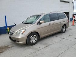 Salvage cars for sale from Copart Farr West, UT: 2007 Honda Odyssey EXL