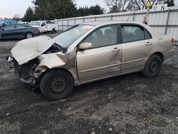 Toyota salvage cars for sale: 2008 Toyota Corolla CE