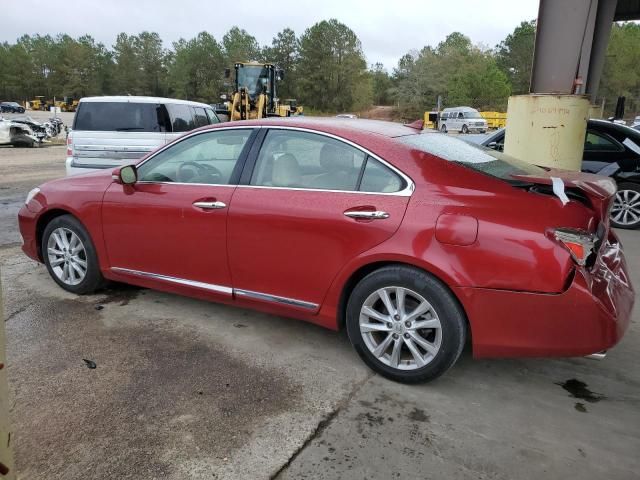 2010 Lexus ES 350