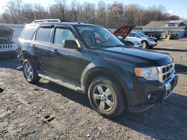 2011 Ford Escape Limited