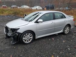 Salvage cars for sale from Copart Baltimore, MD: 2010 Toyota Corolla Base