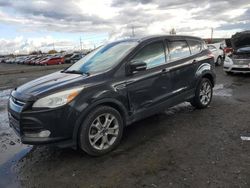 Ford Escape sel salvage cars for sale: 2013 Ford Escape SEL