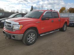 2013 Ford F150 Supercrew en venta en Bowmanville, ON