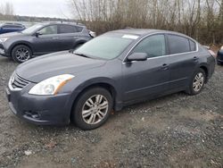 Nissan Altima salvage cars for sale: 2011 Nissan Altima Base