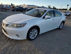 Lexus es300 salvage cars for sale: 2013 Lexus ES 300H