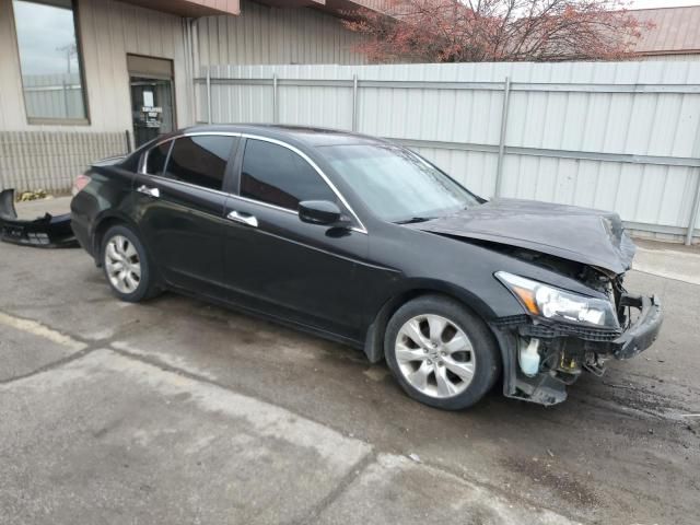 2010 Honda Accord EXL