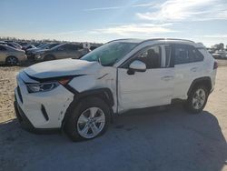 Toyota salvage cars for sale: 2019 Toyota Rav4 XLE