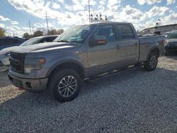 Ford f-150 salvage cars for sale: 2013 Ford F150 Supercrew