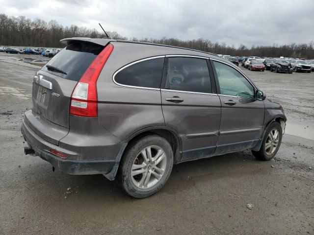 2010 Honda CR-V EXL