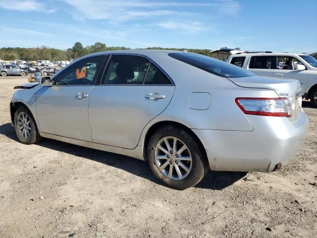 2010 Toyota Camry Hybrid