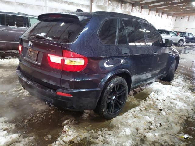 2010 BMW X5 M