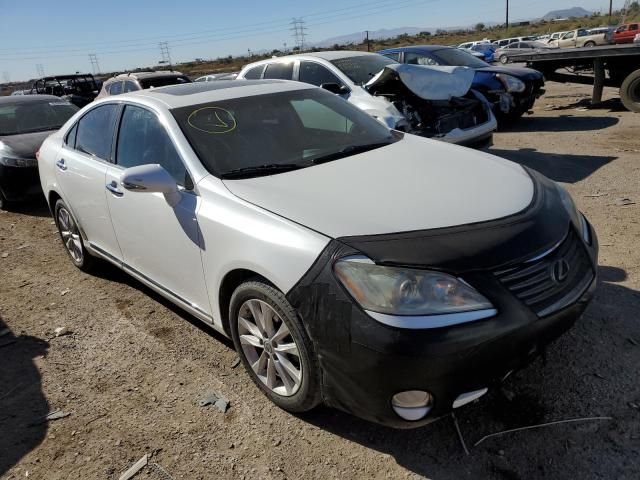 2010 Lexus ES 350